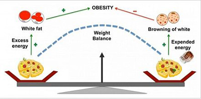小腿粗的成因及瘦身方法