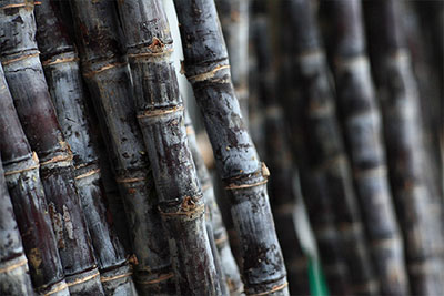 魔法般的冬季健美臂攻略！