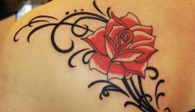 耳軟骨隆鼻與肋軟骨隆鼻：術(shù)后效果哪個(gè)更自然？