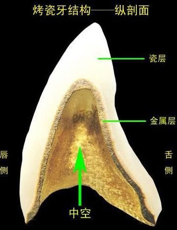 北京十家獨(dú)具特色的杯狀耳整形醫(yī)院口碑排行榜