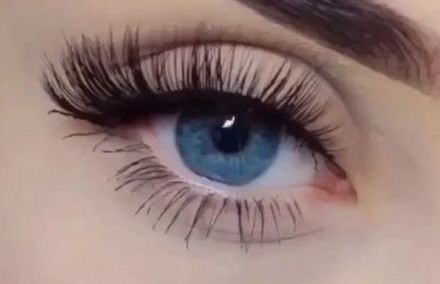 張翰也整容了嗎？揭秘他新造型背后的真相！