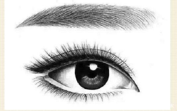 為什么補牙的價格差距如此之大？探究4個關鍵原因！