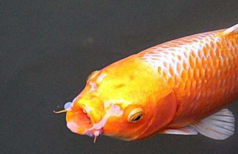 上海哪家醫(yī)院去痘坑效果好？