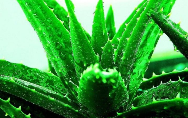 齊齊哈爾雙眼皮手術(shù)哪家醫(yī)院做的好？