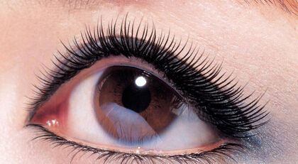 宜賓全面集結(jié)！公私同臺(tái)展現(xiàn)，實(shí)力強(qiáng)勁給你信心！