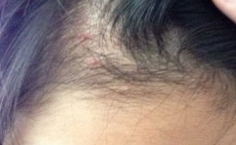 福州市中醫(yī)院美容中醫(yī)科簡(jiǎn)介，首選之一！