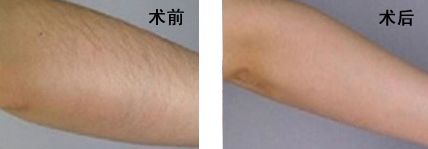 寧波完美塑美，2023年獨(dú)具醫(yī)術(shù)的整形專家詳細(xì)揭秘