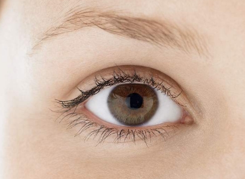 佛山哪家面部射頻緊致整形醫(yī)院好評(píng)如潮？2023年佛山面部射頻緊致整形美容排名前10家醫(yī)院精心推薦！