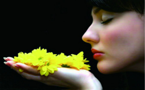 公立醫(yī)院整形科室有多少家？為何選擇公立醫(yī)院進(jìn)行整形手術(shù)？