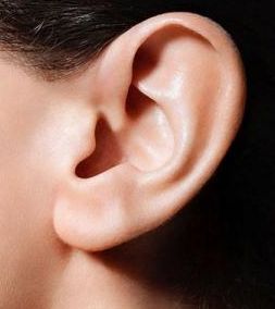 獨(dú)家揭秘2023福建脂肪填充權(quán)威醫(yī)生詳解！