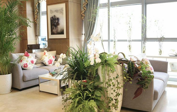 北京麗揚(yáng)醫(yī)療美容診所_大廳