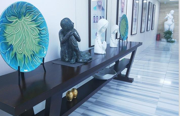 北京柳圣賢整形美容外科_藝術品陳列區(qū)