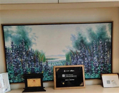 北京賽德陽光口腔門診部_醫(yī)院榮譽.