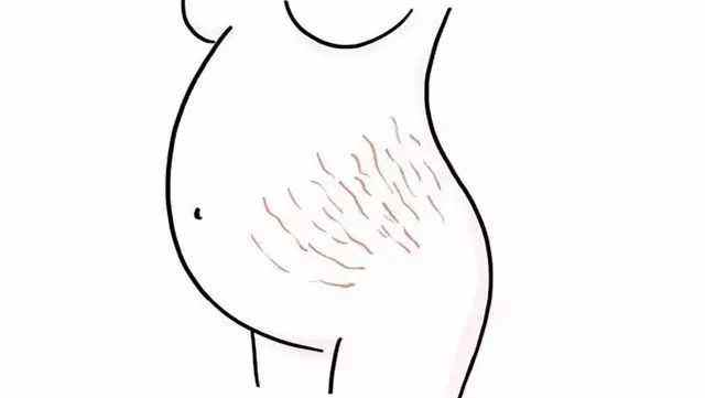 上?？谥芗y填充價(jià)格