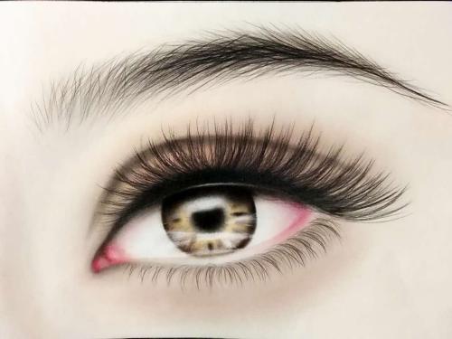 鄭州眼角下垂手術價格