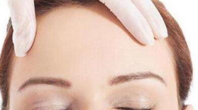 重慶歐洲之星蕊麗價(jià)格