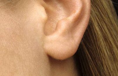 北京植發(fā)王牌PK：小森林VS宋海林，誰是頭皮救星？