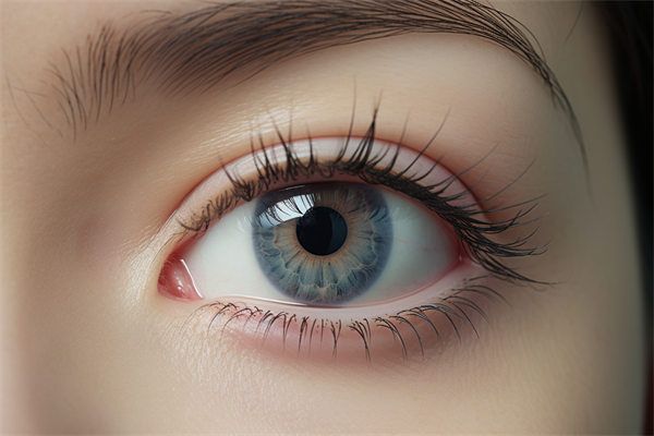 上海九院眼整形修復(fù)口碑怎么樣？醫(yī)院特色與收費(fèi)標(biāo)準(zhǔn)詳解