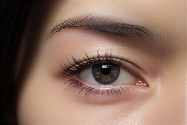 合肥美特爾整形醫(yī)院詳解：服務(wù)項(xiàng)目、評(píng)價(jià)和基本信息